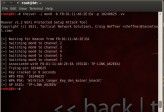 Geknackt: Theiver hat den passenden PIN gefunden und zeigt dazu gleich den WPA-Key an. Zu Testzwecken haben wir dem Tool den PIN direkt mitgegeben.
