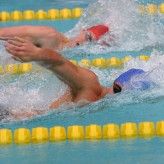 Resultate auch aus der Schwimmarena gibt es während Olympia auch über eine offizielle App direkt auf Smartphones und Tablets.