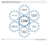 Forrester beobachtet beim CRM einen Trend zur Konvergenz. Demnach wachsen die hier abgebildeten Zahnräder zu "CXM" zusammen.