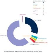 Die Grafik zeigt die Anzahl der mobilen Malware-Familien und deren prozentuale Verteilung.