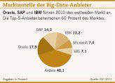 Die Marktanteile der Big-Data-Anbieter.