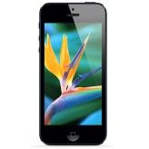 Das neue iPhone 5.