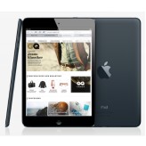 Das iPad Mini.