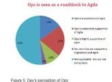 Die Softwareentwickler in Unternehmen fühlen sich von den Admins ausgebremst.
