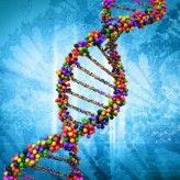 Forscher speichern digitale Daten in der DNA.