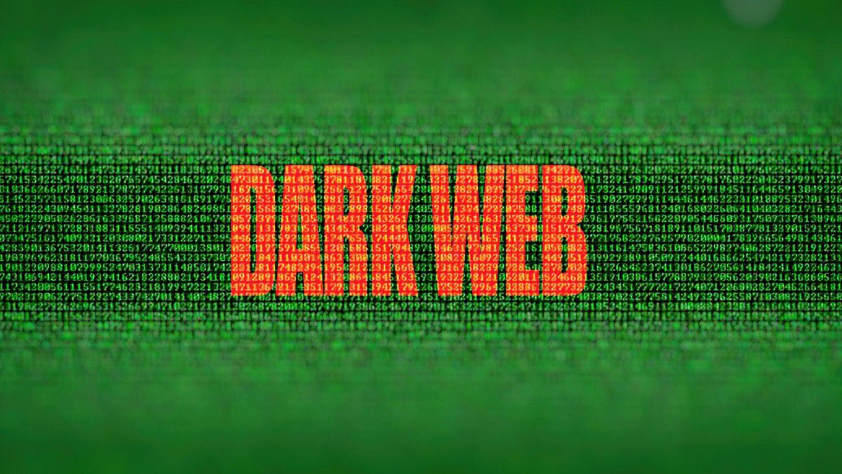 Darknet seiten dream market